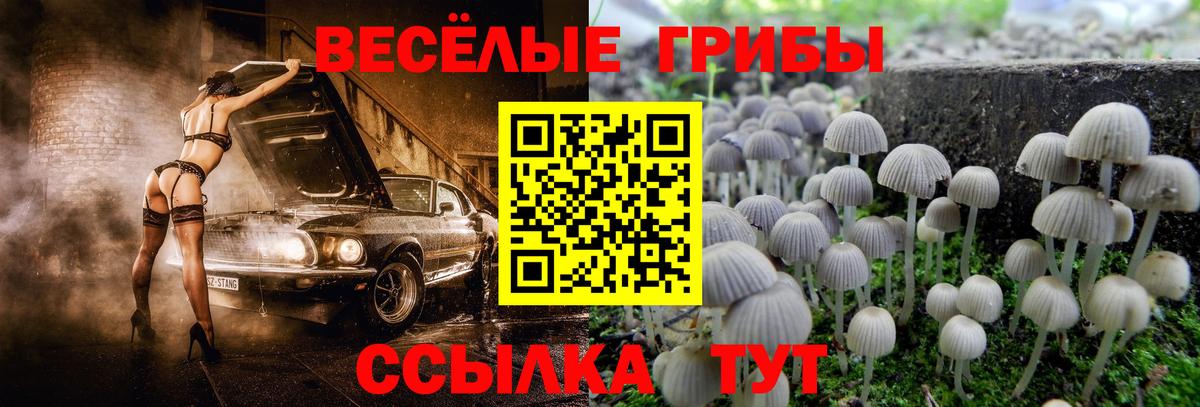 Галлюциногенные грибы GOLDEN TEACHER Асино